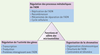 Figure 3 Figure 3