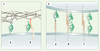 Figure 2. Figure 2.
