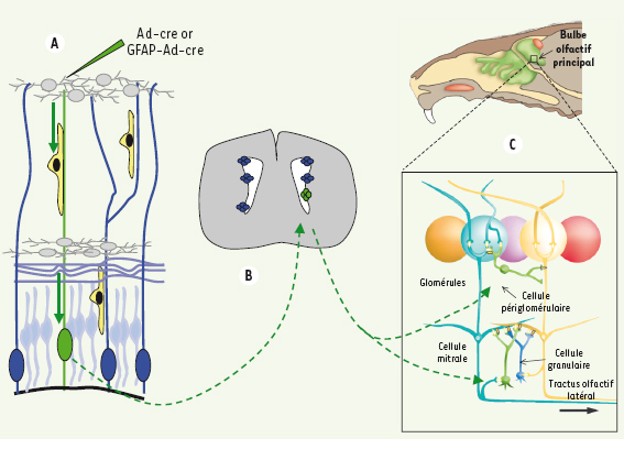 Figure 2.