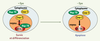 Figure 2. Figure 2.