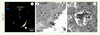 Figure 3. Figure 3.