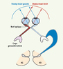 Figure 2. Figure 2.