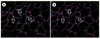 Figure 3. Figure 3.