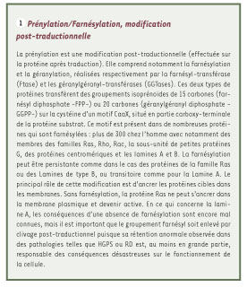 inline-graphic medsci20082410p833-img1.jpg