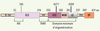 Figure 2. Figure 2.