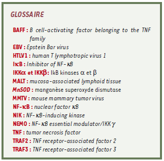 inline-graphic medsci20082412p1083-img1.jpg