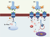 Figure 3. Figure 3.