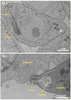 Figure 3. Figure 3.