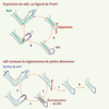 Figure 2. Figure 2.