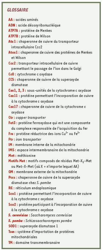 inline-graphic medsci2008243p277-img1.jpg