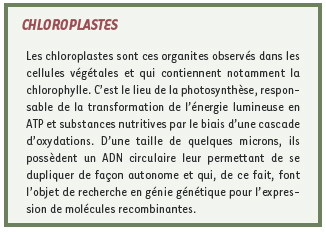 inline-graphic medsci2008244p375-img1.jpg