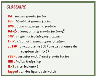 inline-graphic medsci2008244p419-img1.jpg