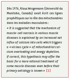 inline-graphic medsci2008245p470-img1.jpg