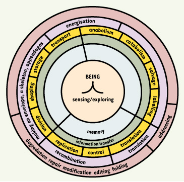 Figure 5.