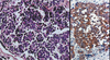 Figure 2. Figure 2.