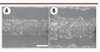 Figure 2. Figure 2.