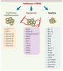 Figure 2. Figure 2.