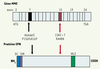 Figure 1. Figure 1.