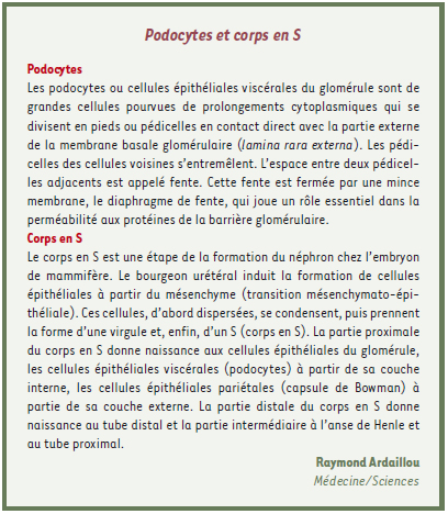 inline-graphic medsci2009251p64-img1.jpg