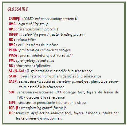 inline-graphic medsci2009252p153-img1.jpg