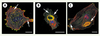 Figure 2. Figure 2.