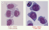 Figure 2. Figure 2.