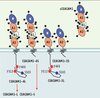 Figure 1. Figure 1.