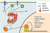 Figure 2. Figure 2.