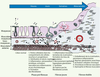 Figure 2. Figure 2.