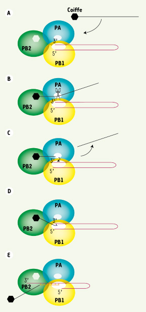 Figure 2.