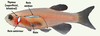 Figure 2. Figure 2.