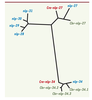 Figure 5. Figure 5.