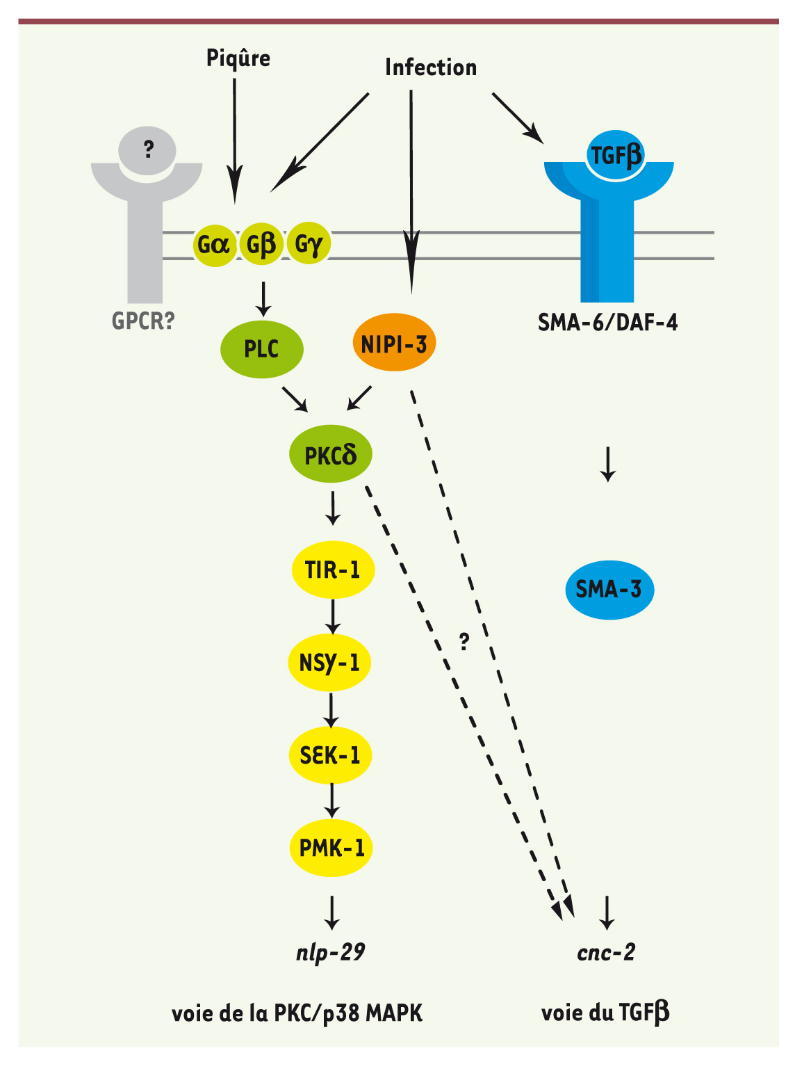 Figure 7.