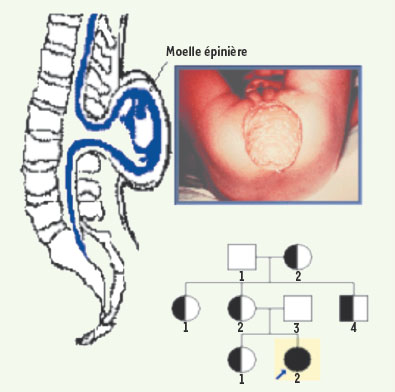 Figure 10.