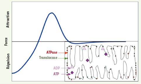 Figure 14.