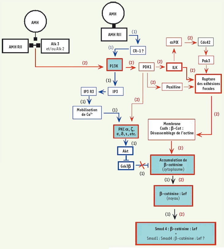 Figure 4B