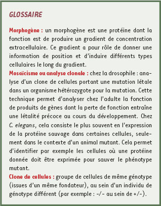 inline-graphic medsci2009256-7p617-img1.jpg