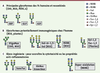 Figure 4. Figure 4.