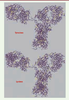 Figure 1. Figure 1.