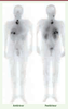 Figure 2. Figure 2.