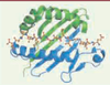 Figure 4. Figure 4.