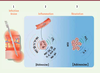 Figure 2. Figure 2.