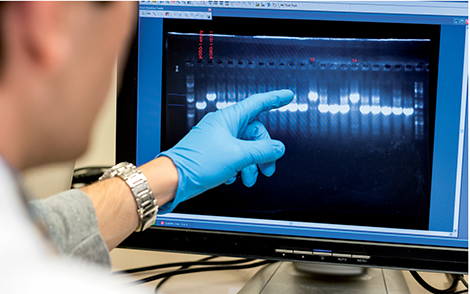 Résistances émergentes aux antibiotiques *. Résistances émergentes aux antibiotiques - préparation de tests sur des prélèvements sanguins de patients