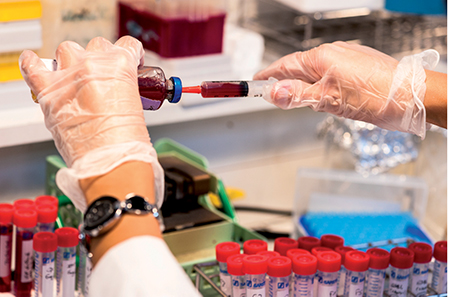 Résistances émergentes aux antibiotiques* . Résistances émergentes aux antibiotiques - analyse de gel d'essai de transposition d'ADN d'E. coli