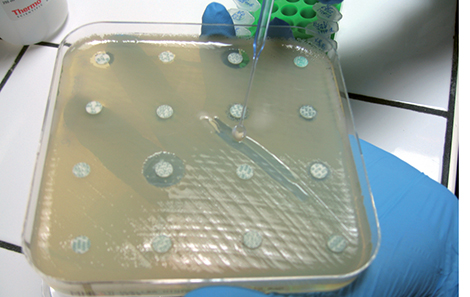 Résistances émergentes aux antibiotiques* . Résistances émergentes aux antibiotiques - test de dépistage rapide (hôpital de Bicêtre)