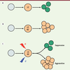 Figure 2. Figure 2.
