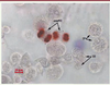 Figure 4. Figure 4.