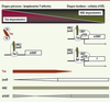 Figure 4. Figure 4.