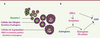 Figure 2. Figure 2.