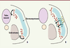 Figure 1. Figure 1.
